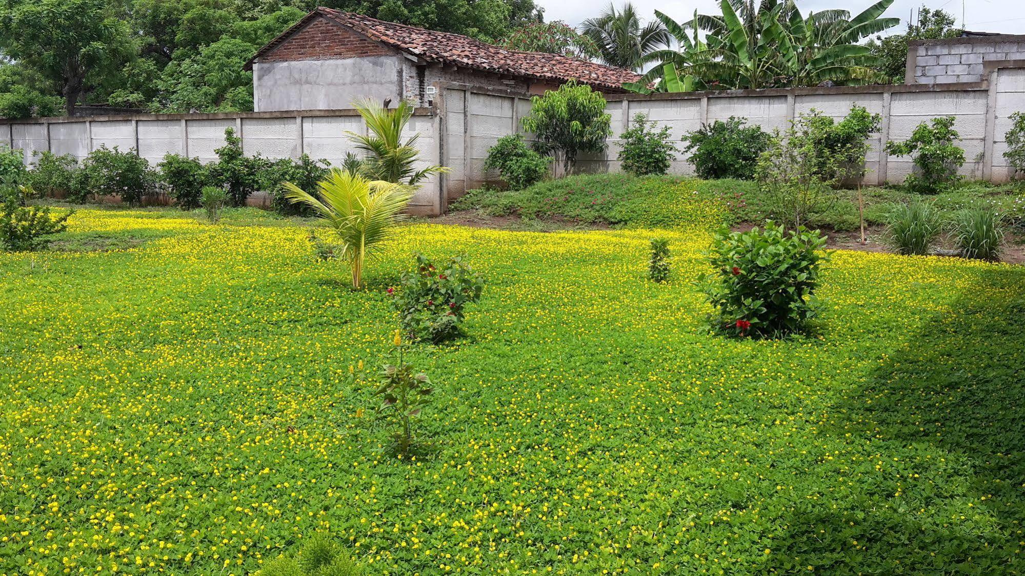 Hotel Jardin Garden De Granada Nicaragua Esterno foto